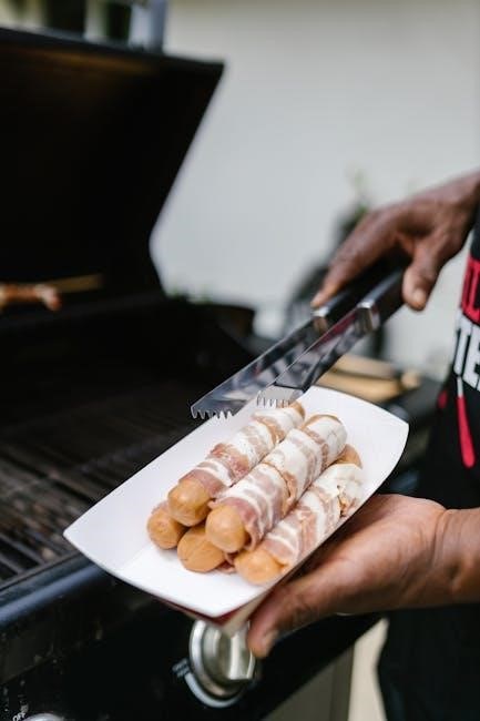 ninja foodi smart xl grill manual
