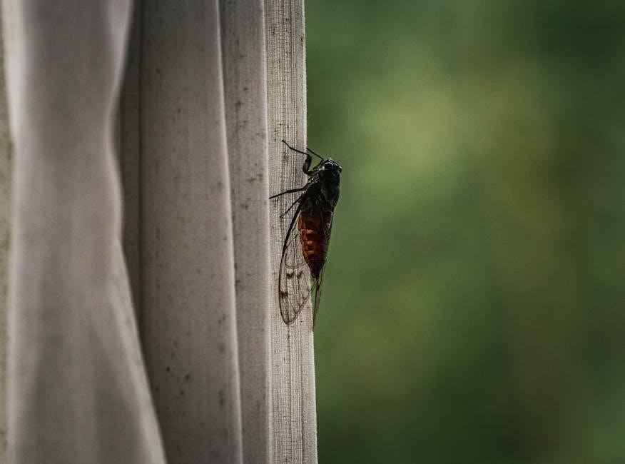 bls provider manual pdf free download 2024